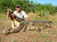 Mozambik Beira terület. Krokodil