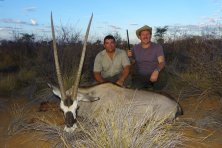 103 cm-es vén Oryx tehén