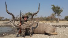 150 cm-es Kudu bika É Namíbia