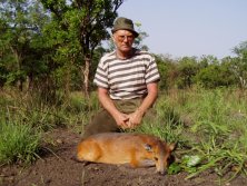 Guinea, Red-flanked duiker