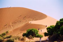 Namib sivatag