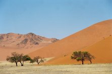 Namib sivatag