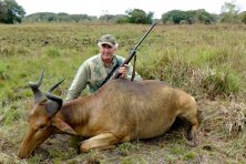 Mozambik Beira terület. Lichtenstein hartebeest