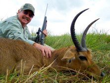 Mozambik Beira terület. Reedbuck, Nádibak.