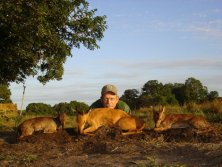 Mozambik Beira terület. Blue és Red duiker, Suni