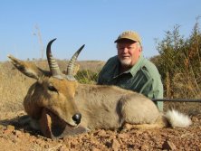 Hegyi reedbuck