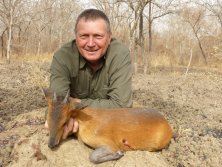 Red Flanked Duiker, Deres bóbitásantilop