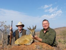 Klipspringer