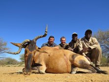 Spéci Hartebeest