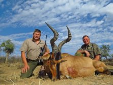 Hartebeest  www.afrikavadaszat.hu