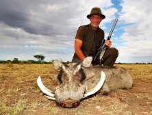 brutális  warthog  www.afrikavadaszat.hu