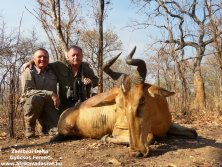 Mozambik lihtensten hartebeest  www.afrikavadaszat.hu