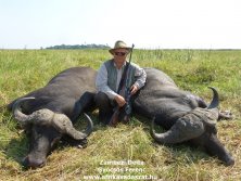 2 Buffalo  www.afrikavadaszat.hu