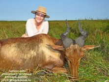 Mozambik lihtensten hartebeest  www.afrikavadaszat.hu