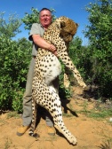Cheetah Kapitalis