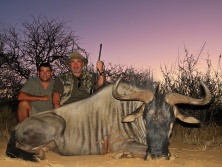 Blue Gnu