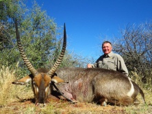 Waterbuck Víziantilop