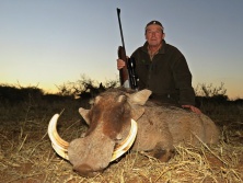 Warthog 33 cm