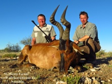 Hartebeest, Vörös tehénantilop, Kapitális