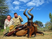 Hartebeest, Vörös tehénantilop / afrikavadaszat.hu