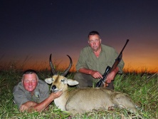 Reedbuck