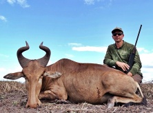 Lihtenstein Hartebeest