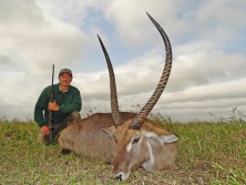 Waterbuck