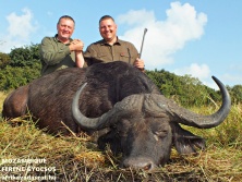 Mozambique Buffalo, www.afrikavadaszat.hu