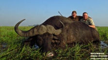 Mozambique Buffalo, www.afrikavadaszat.hu