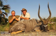 Mozambique Nyala, www.afrikavadaszat.hu