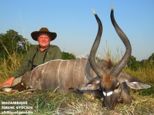 Mozambique Nyala, www.afrikavadaszat.hu