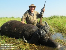 Mozambique Buffalo, www.afrikavadaszat.hu