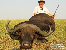 Mozambique Buffalo, www.afrikavadaszat.hu