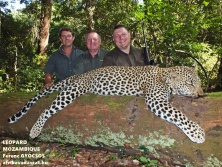Mozambique Leopard, www.afrikavadaszat.hu