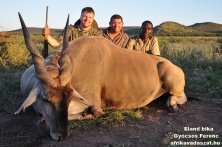 Eland  www.afrikavadaszat.hu