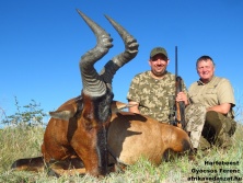 HARTEBEEST www.afrikavadaszat.hu