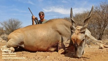 Eland www.afrikavadaszat.hu