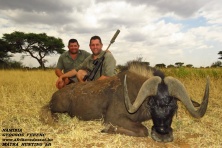 Black Wildebeest 2020