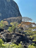 NIASSA Nenzeti Park