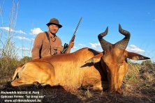 2022 Lihtenstein hartebeest vadaszat a NIASSA Nemzeti Parkban