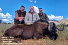 2023 Back wildebeest